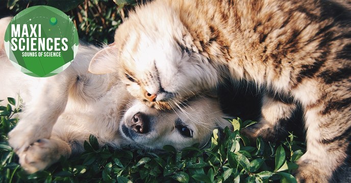 Antarctique, Lune et déprime d'hiver, les 8 actus sciences que vous devez connaître ce 28 décembre