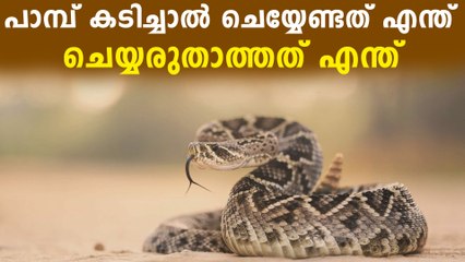 പാമ്പ് കടിച്ചാൽ ഉടൻ ചെയ്യേണ്ടത് എന്ത്? | Oneindia Malayalam