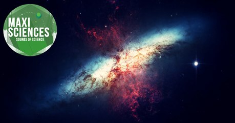 InSight, rougeole et ossements, les 8 actus sciences que vous devez connaître ce 4 décembre