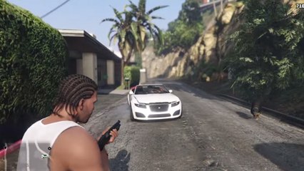 GTA 5 : sortir son chien à Los Santos présente des risques