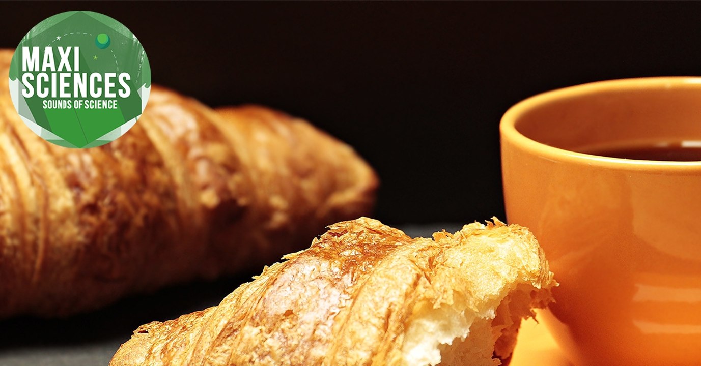 Mediator, Antarctique et lion, les 8 actus sciences que vous devez connaître ce 4 février