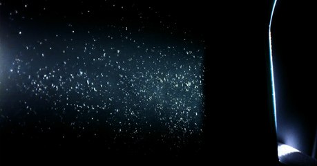 Les bactéries vivant dans la poussière de nos maisons pourraient devenir dangereuses