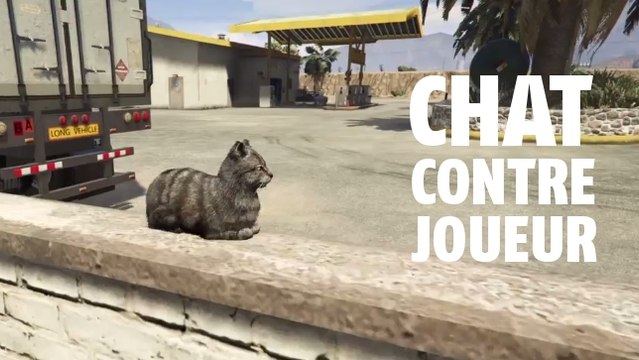 GTA 5 : ne faites jamais peur à un chat à Los Santos