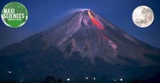 Volcan, odeur et kangourou, les 8 actus sciences que vous devez connaître ce 9 février