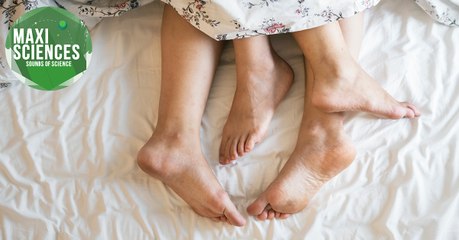 Cratère, ADN et écureuil, les 8 actus sciences que vous devez connaître ce 14 février