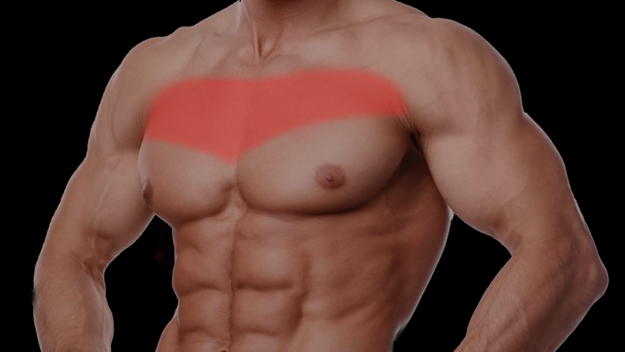 Hier kommt die beste Übung, um Masse an den oberen Brustmuskeln aufzubauen!
