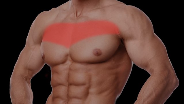 Hier kommt die beste Übung, um Masse an den oberen Brustmuskeln aufzubauen!