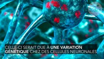 L'un des grands mystères derrière les maladies d'Alzheimer et de Parkinson enfin élucidé ?