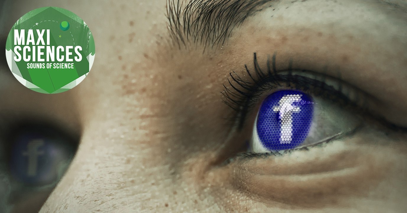 Groenland, Facebook et abeilles, les 8 actus sciences que vous devez connaître ce 25 janvier