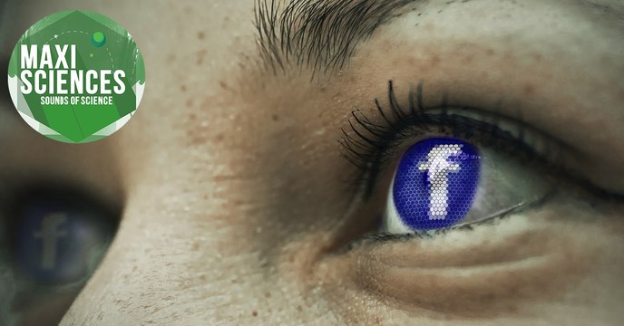 Groenland, Facebook et abeilles, les 8 actus sciences que vous devez connaître ce 25 janvier