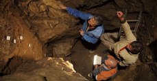 Archéologie : de très rares fragments de crâne de l'Homme de Denisova découverts en Sibérie