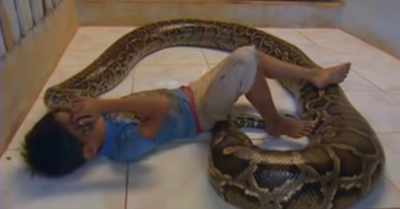 Er schläft schon als Baby jede Nacht neben einer Python-Schlange. Das ist 11 Jahre später aus ihm geworden!