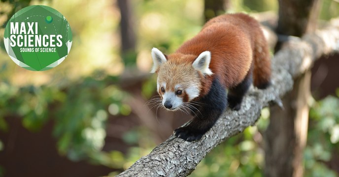 Séisme de glace, trou noir et drone, les 8 actus sciences que vous devez connaître ce 2 février