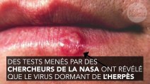 Espace : voilà pourquoi les astronautes sont beaucoup plus touchés par l’herpès