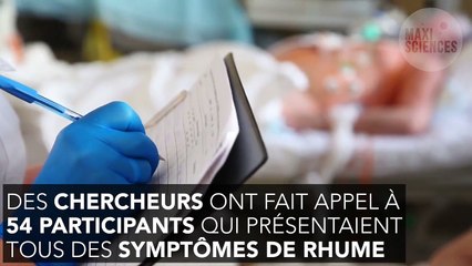 Rhume : voici le remède naturel et validé par la science qui réduit la durée des symptômes