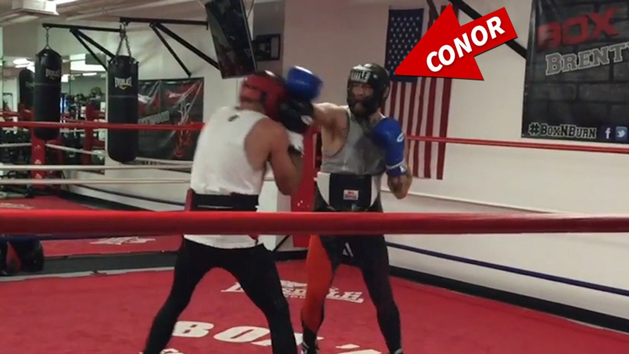 Conor McGregor: Das echte Video von seinem Sparring mit Chris Van Heerden
