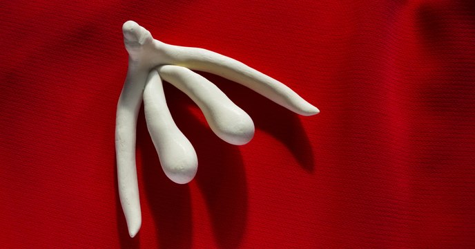 Clitoris : 4 choses à savoir sur ce petit organe si puissant