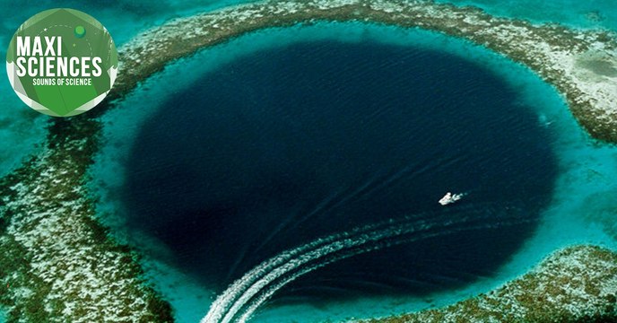 Glyphosate, Ocean Art et chutes du Niagara, les 8 actus sciences que vous devez connaître ce 26 janvier