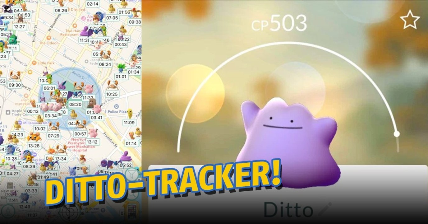 Dieser geniale Scanner erspart euch ab sofort sehr viel Zeit!