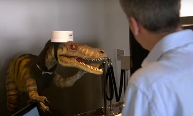Licenciement massif de robots dans un hotel au Japon