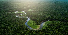 Brésil : la déforestation de l'Amazonie pourrait augmenter les températures locales de 1,5°C