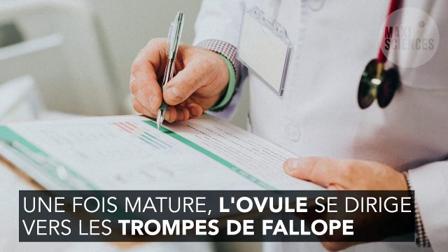 SOPK ou syndrome des ovaires polykystiques : qu'est-ce que c'est et comment le traiter ?