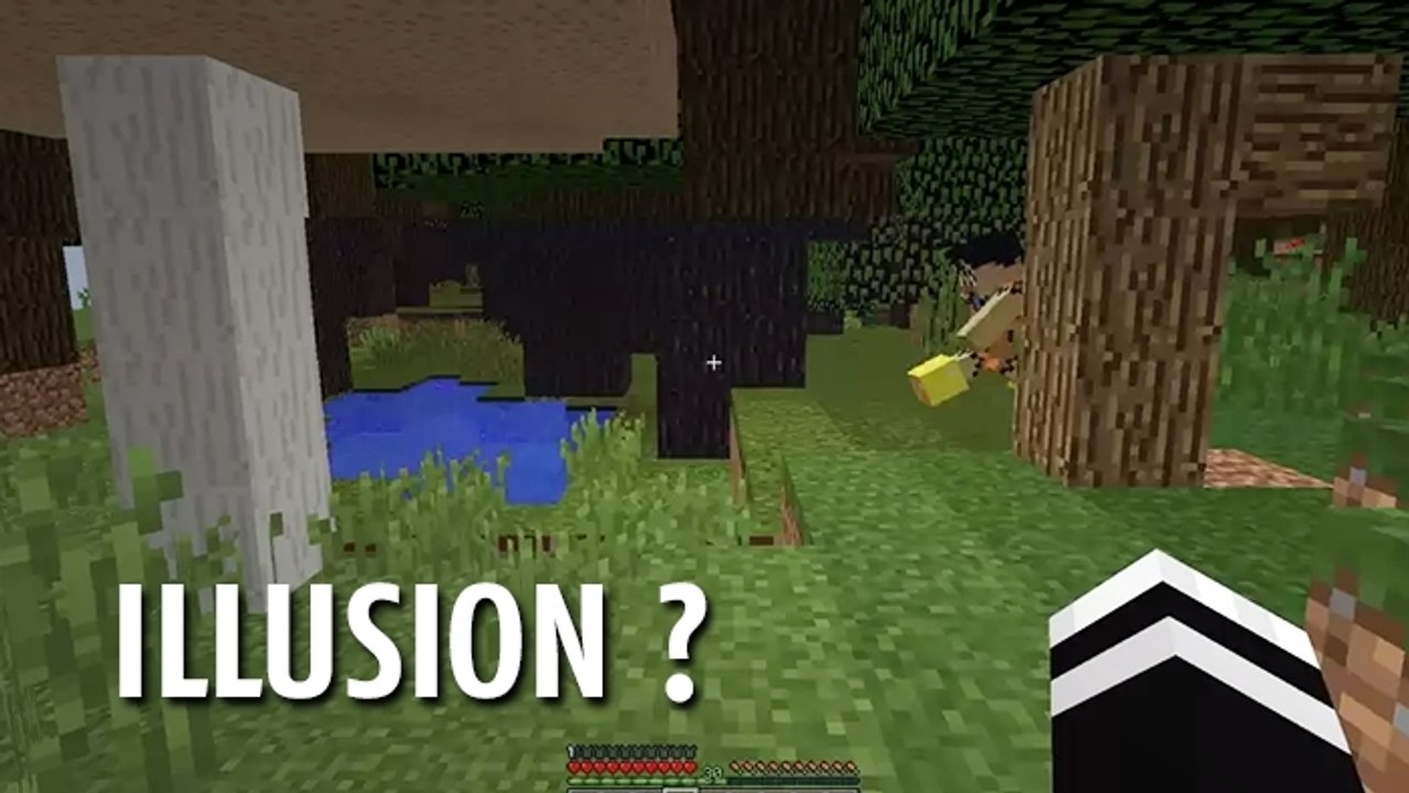 Minecraft : une illusion d'optique impressionnante !