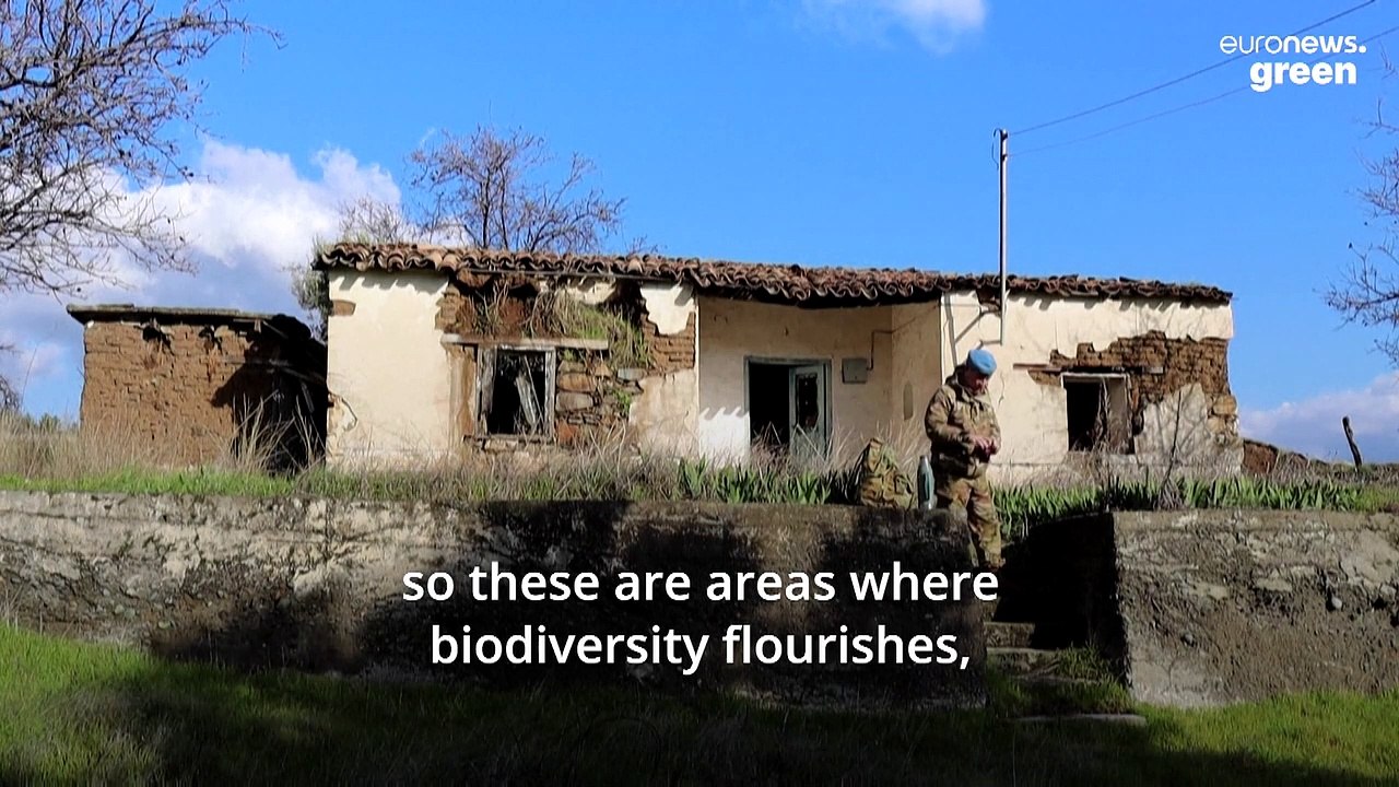 Could this abandoned stretch of land offer a resolution to a 66-year-old conflict?