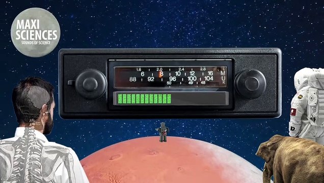 Momies, baleines et cancer, les 8 actus sciences que vous devez connaître ce 5 février