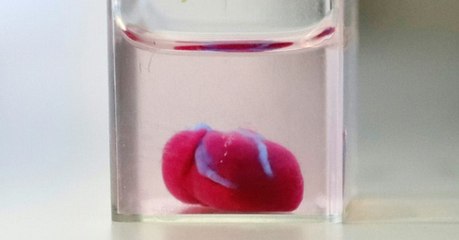 Des chercheurs réussissent à imprimer un coeur en 3D à partir de tissus humains