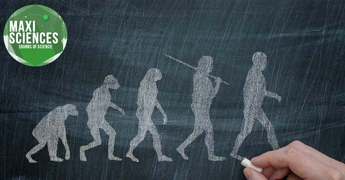 Darwin, insectes et Ultima Thulé, les 8 actus sciences que vous devez connaître ce 12 février