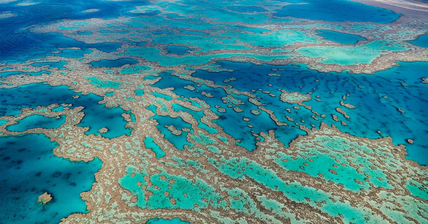 Les inondations en Australie, une nouvelle menace pour la Grande Barrière de corail