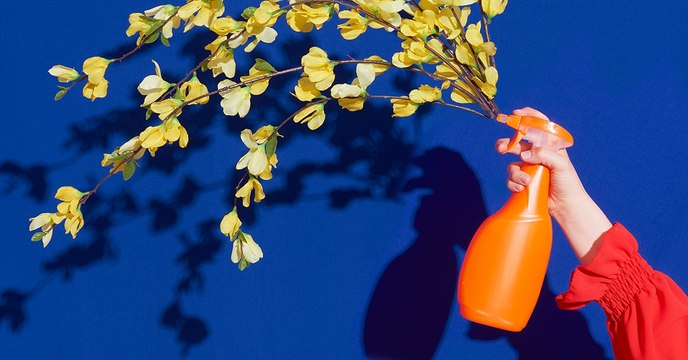 5 produits ménagers bio pour rendre sa maison plus écologique