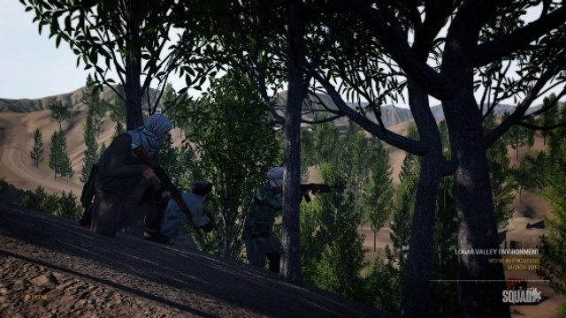 Squad (PC) : un Steam Greenlight pour le standalone de Project Reality