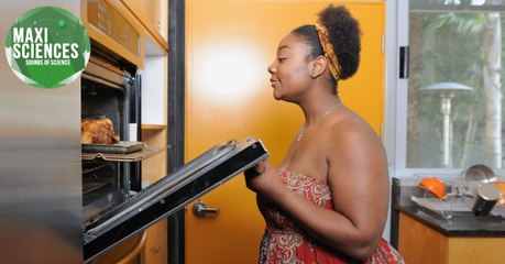 Livre gratuit de la NASA, pyramides et un rôti, les 8 actus sciences que vous devez connaître ce 26 février