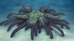 Cthulhu : cet étrange fossile retrouvé au fond de l'océan ressemble bizarrement à la créature de H.P Lovecraft