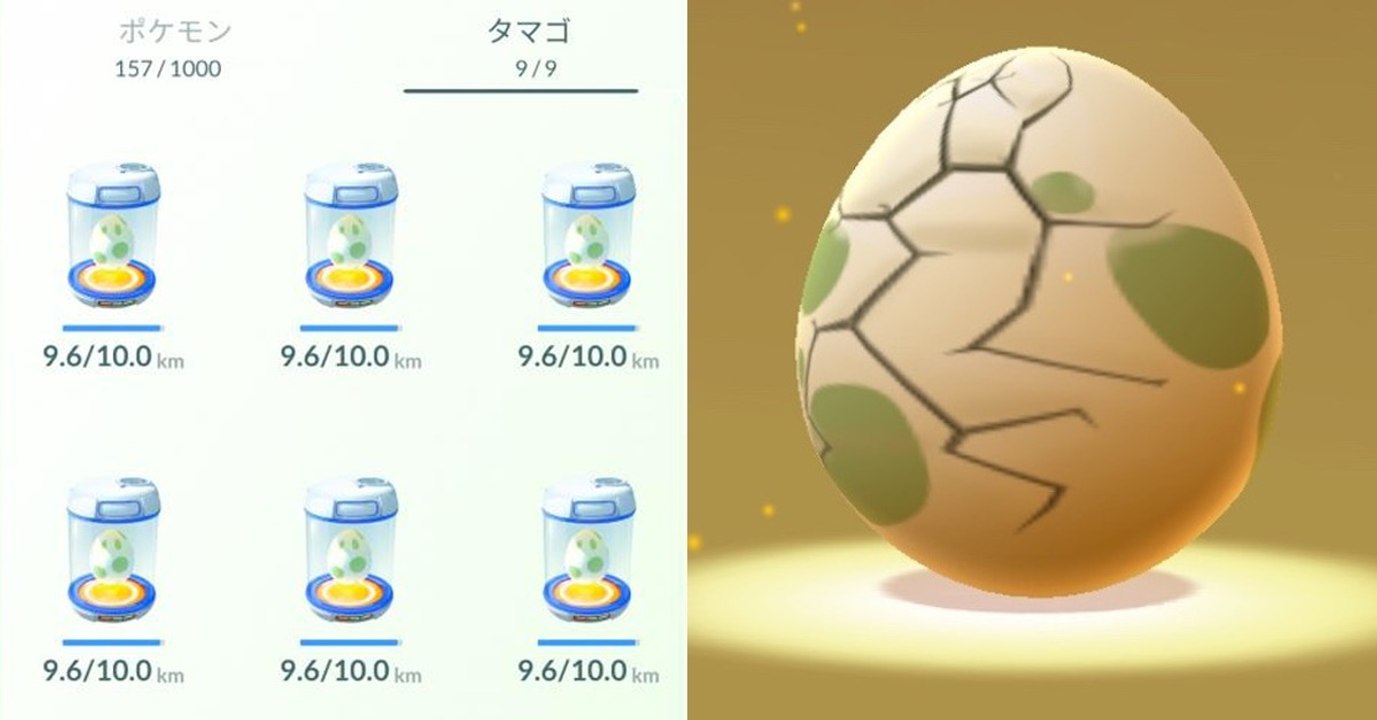 Auf Level 38 brütet er neun 10-km-Eier auf einmal aus. Was dann passiert...