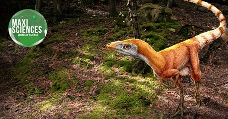 Requin, lac et dinosaures, les actus sciences que vous devez connaître ce 9 juillet