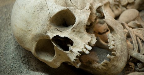 L'Homme de Néandertal aurait été poussé au cannibalisme... à cause du changement climatique