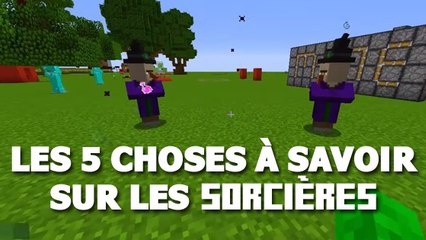 Minecraft : 5 choses que vous ignoriez probablement sur les sorcières