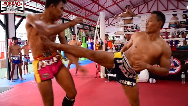 Die Muay-Thai Legende Saenchai und Singdam in einem beeindruckenden Training