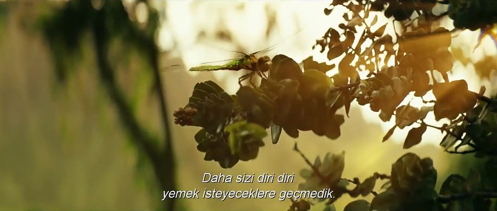 Kong: Kafatası Adası Altyazılı Fragman (5)