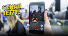 Deshalb ist genau jetzt der richtige Zeitpunkt, Pokémon GO wieder mehr zu zocken!