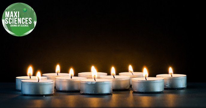 Geyser, baleine et marche, les actus sciences que vous devez connaître ce 1er juillet