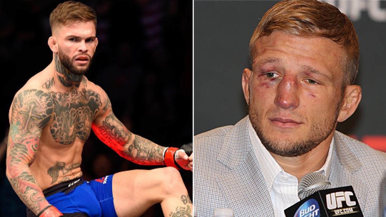 Cody Garbrandt behauptet, dass er Dillashaw im Training KO geschlagen hat!