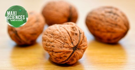 Haleine, flatulences et téléphone portable, les actus sciences que vous devez connaître ce 4 août