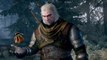 The Witcher 3 (PS4, Xbox One, PC) : les trophées, succès, achievements