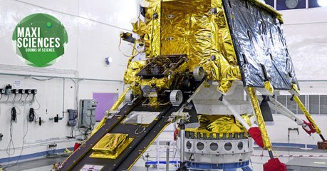 Inde, cryptomonnaie, python, les actus sciences que vous devez connaître ce 14 juillet