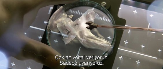 Hayat - "İlk Temas" Türkçe Altyazılı Klip