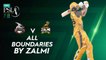 All Boundaries By Zalmi | Lahore Qalandars vs Peshawar Zalmi | Match 9 | HBL PSL 7 | ML2G